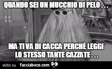 Vaccata