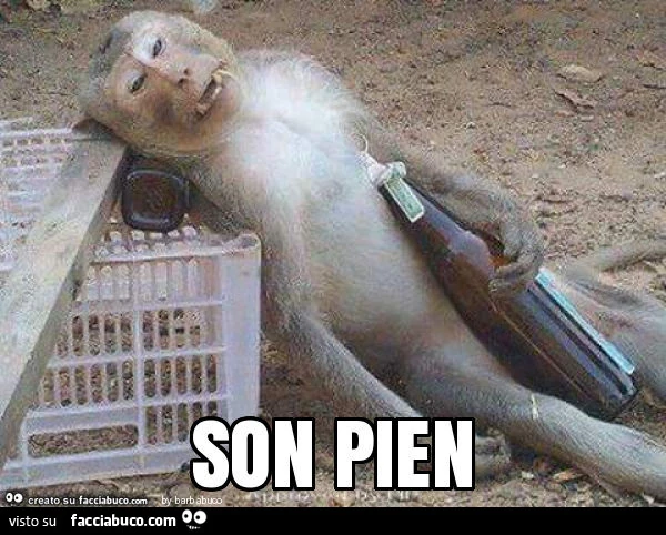 Son pien