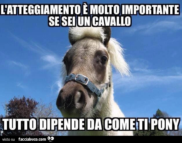 L'atteggiamento è molto importante se sei un cavallo. Tutto dipende da come ti pony