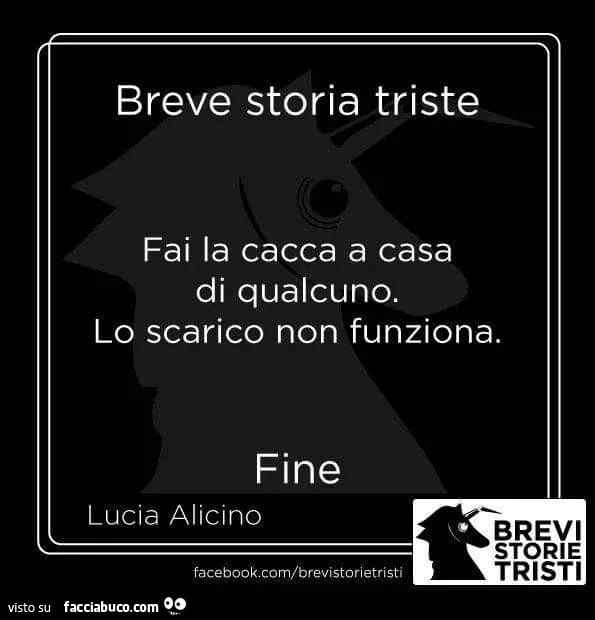 Breve storia triste. Fai la cacca a casa di qualcuno. Lo scarico non funziona. Fine
