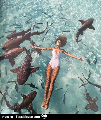 Donna in costume che nuota tra gli squali