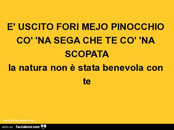 È uscito fori mejo pinocchio cò 'na sega che te cò 'na scopata la natura non è stata benevola con te