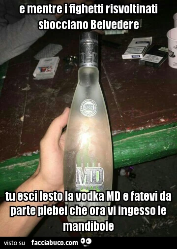 E mentre i fighetti risvoltinati sbocciano Belvedere, tu esci lesto la vodka MD e fatevi da parte plebei che ora vi ingesso le mandibole