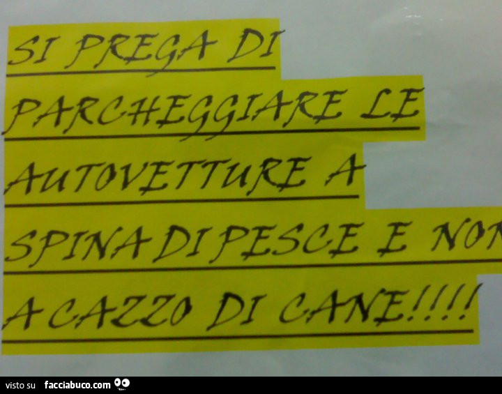 Si prega di parcheggiare le autovetture a spina di pesce e non a cazzo di cane