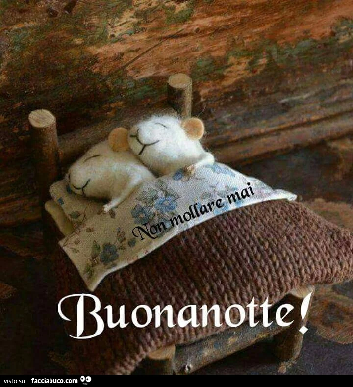 Topolini a letto. Buonanotte