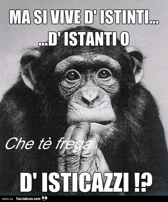 Ma si vive d'istanti d'istanti o d'isticazzi