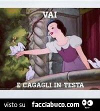 Vaccata