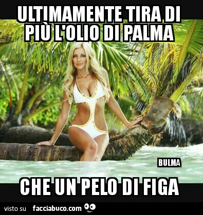 Ultimamente tira di più l'olio di palma… che un pelo di figa