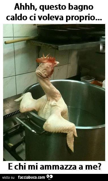 Ahhh, questo bagno caldo ci voleva proprio… e chi mi ammazza a me?