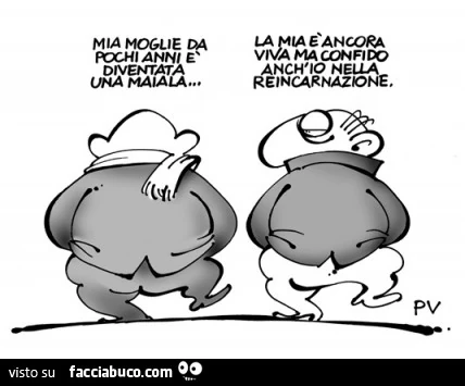 Mia moglie da pochi anni è diventata una maiala. La mia è ancora viva ma confido anch'io nella reincarnazione