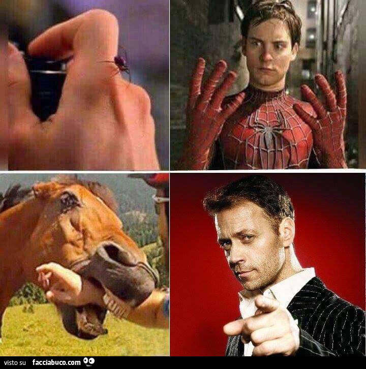 Morso del ragno: spiderman. Morso del cavallo: Rocco Siffredi