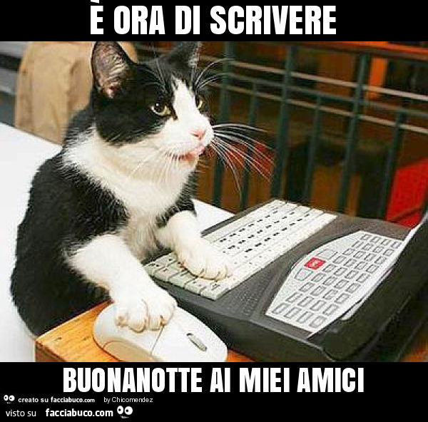 E Ora Di Scrivere Buonanotte Ai Miei Amici Facciabuco Com