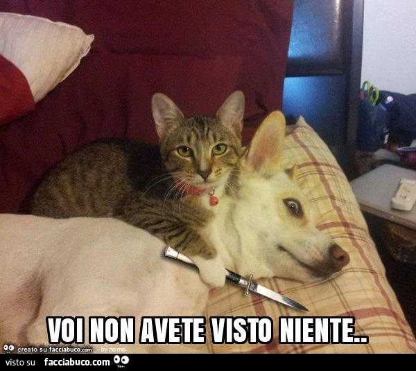 Voi non avete visto niente