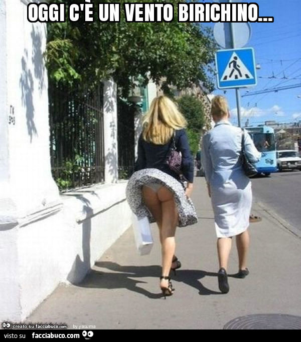 8617434816-oggi-c-e-un-vento-birichino-vaccata-erotica_a.jpg