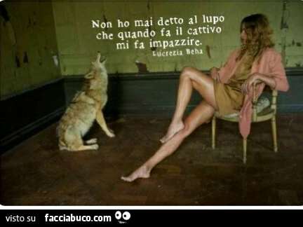 Non ho mai detto al lupo che quando fa il cattivo mi fa impazzire. Lucrezia Beha