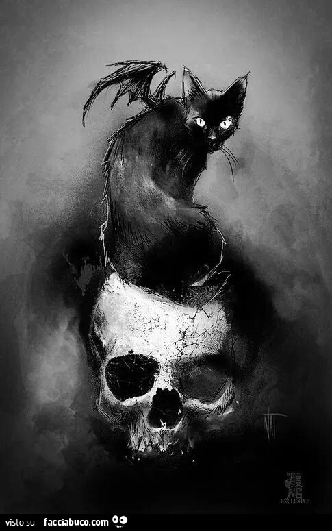 Disegno di gatto nero alato sopra un teschio