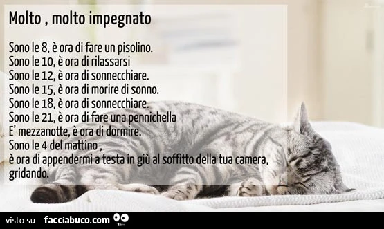 Vaccata