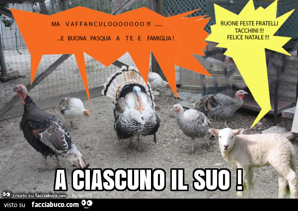 Buone feste fratelli tacchini! Felice Natale. Ma vaffanculo e buona Pasqua a te e famiglia. A ciascuno il suo