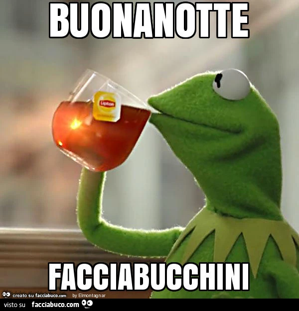 Kermit: buonanotte facciabucchini