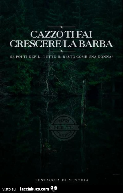 Cazzo ti fai crescere la barba se poi depili il resto come una donna? Testaccia di minchia