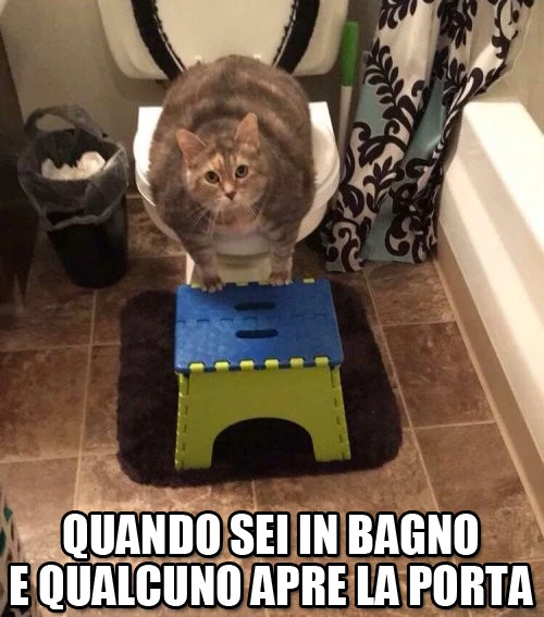 Quando sei in bagno e qualcuno apre la porta