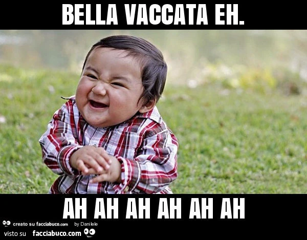 Vaccata