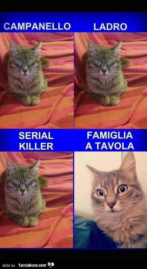 Vaccata