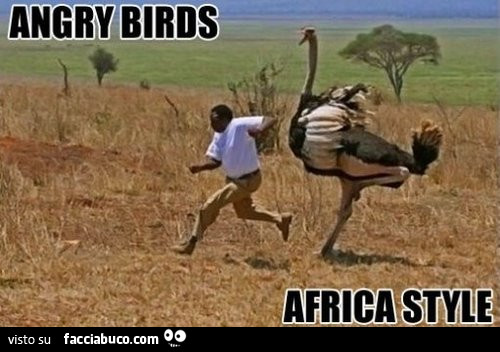 Angry Birds Africa Style