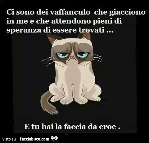 Ci sono dei vaffanculo che giacciono in me e che attendono pieni di speranza di essere trovati… e tu hai la faccia da eroe