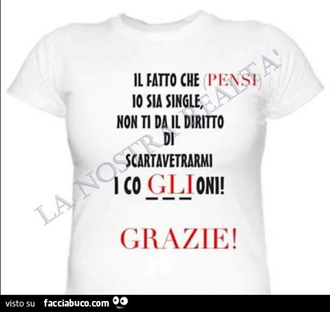 Il fatto che io sia single, non ti da il diritto di scartavetrarmi i coglioni! Grazie