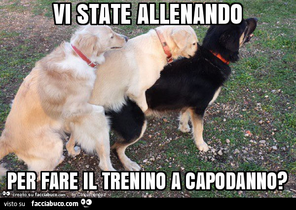 Vi state allenando per fare il trenino a capodanno?