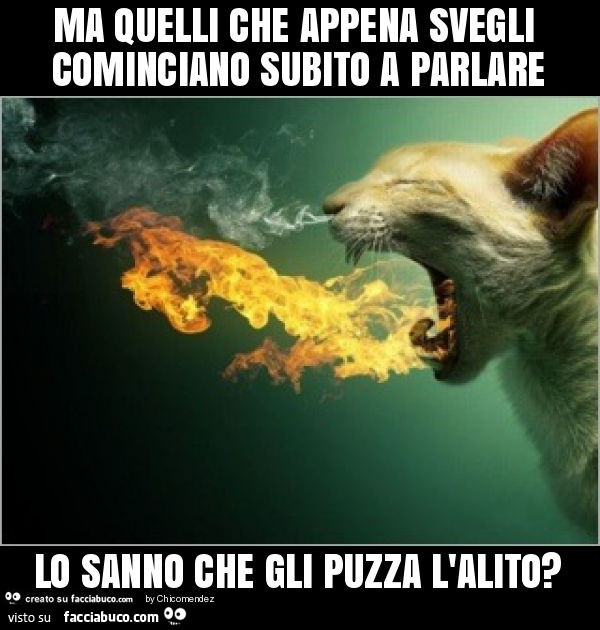 Ma quelli che appena svegli cominciano subito a parlare lo sanno che gli puzza l'alito?