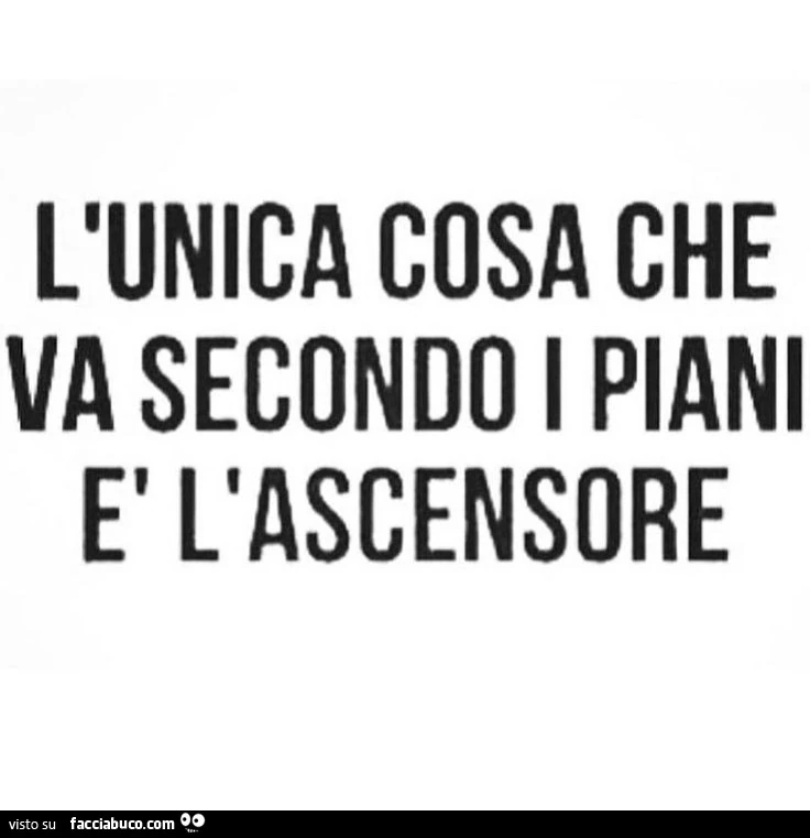 L'unica cosa che va secondo i piani è l'ascensore
