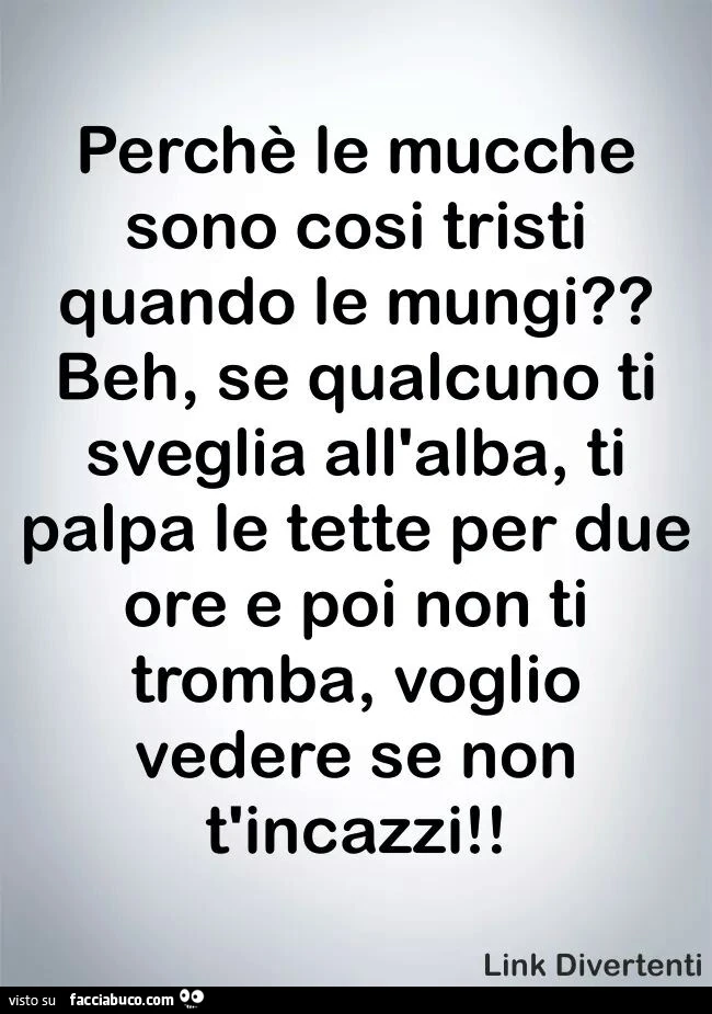Perchè le mucche sono così tristi quando le mungi? Beh, se qualcuno ti sveglia all'alba, ti palpa le tette per due ore e poi non ti tromba, voglio vedere se non t'incazzi