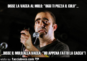 Vaccata