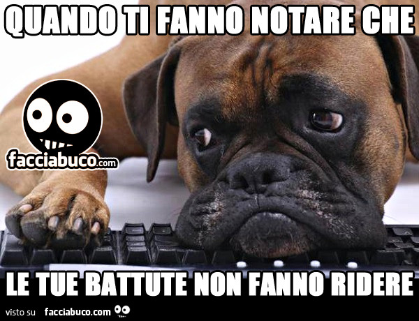 battute che fanno ridere battute che fanno ridere