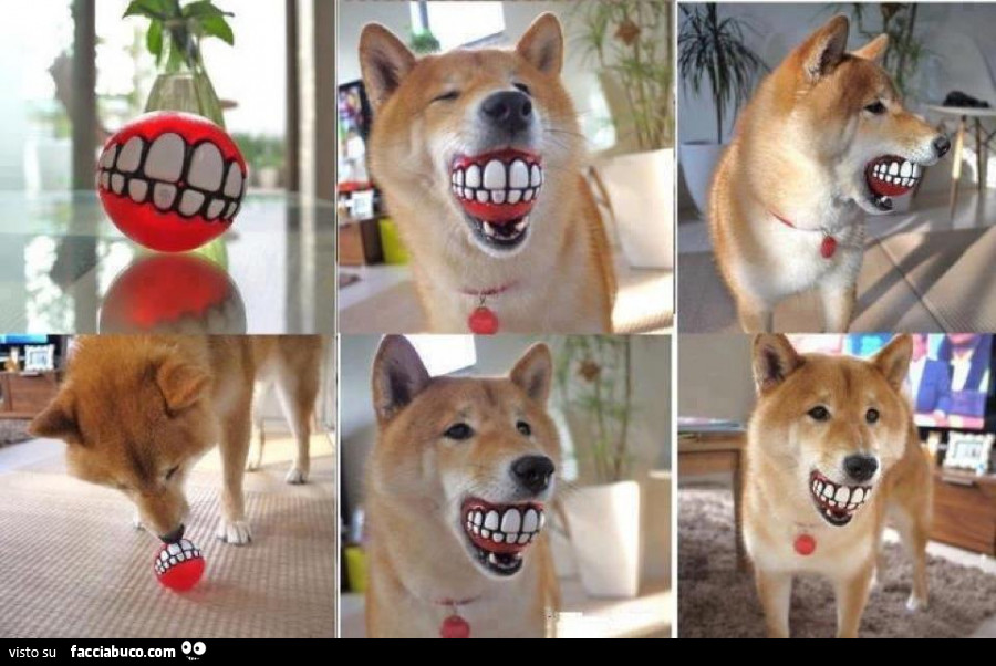 Pallina denti cane