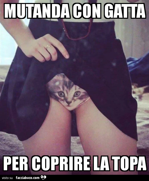 Vaccata