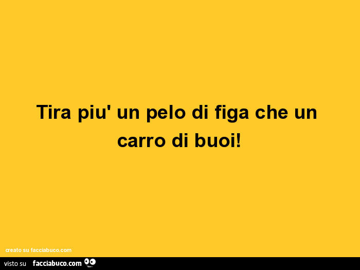 Tira più un pelo di figa che un carro di buoi