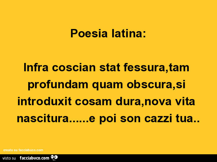 Poesia latina: infra coscian stat fessura, tam profundam quam obscura, si introduxit cosam dura, nova vita nascitura… e poi so cazzi tua