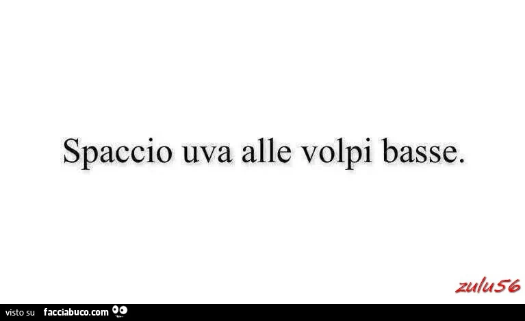 Spaccio uva alle volpi basse