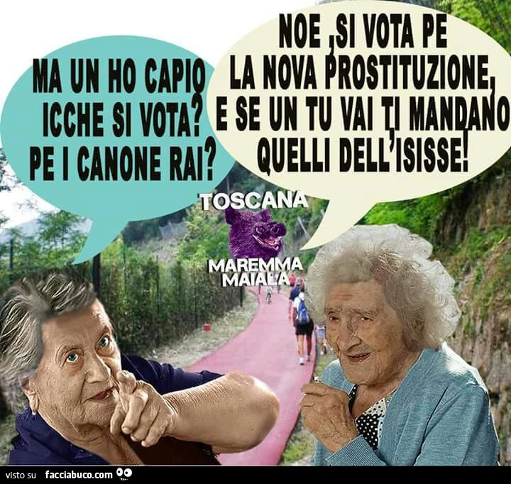 Ma un ho capio icche si vota? Pe i canone Rai? Noe, si vota pe la nova prostituzione, e se un tu vai ti mandano quelli dell'isisse