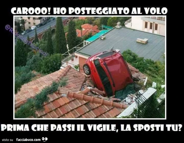 Vaccata