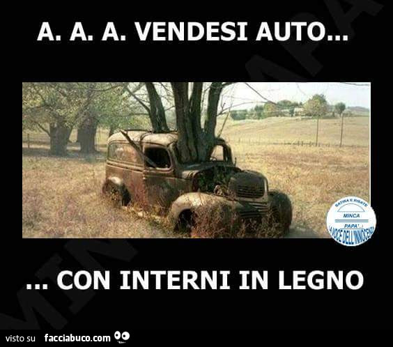 A. A. A. Vendesi auto… con interni in legno