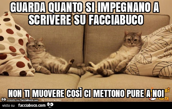 Guarda quanto si impegnano a scrivere su facciabuco non ti muovere così ci mettono pure a noi