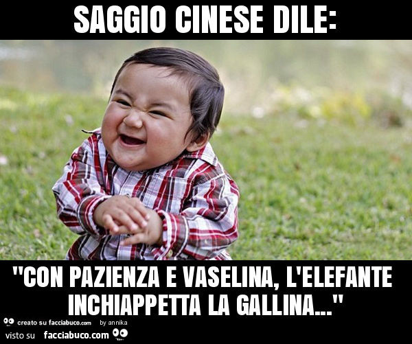 Saggio cinese dile: con pazienza e vaselina, l'elefante inchiappetta la gallina