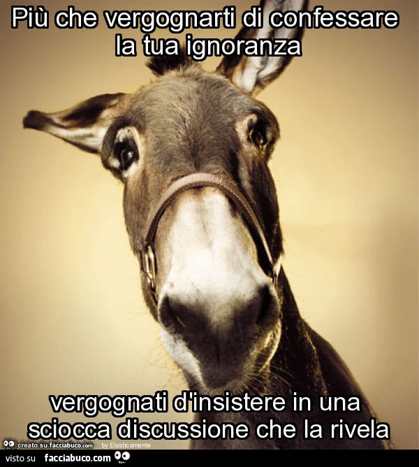 Più che vergognarti di confessare la tua ignoranza vergognati d'insistere in una sciocca discussione che la rivela