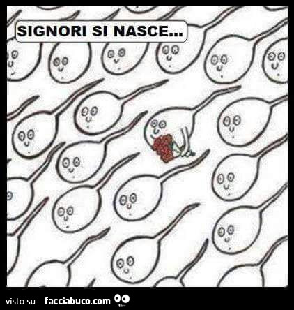 Signori si nasce