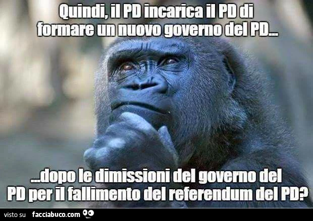 Quindi, il PD incarica il PD di formare un nuovo governo del PD&hellip; dopo le dimissioni del governo del PD per il fallimento del referendum del PD?