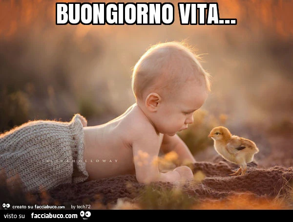 Buongiorno vita